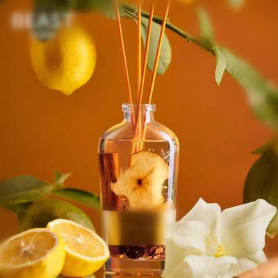 home glass bottle fragrance reed oil diffuser